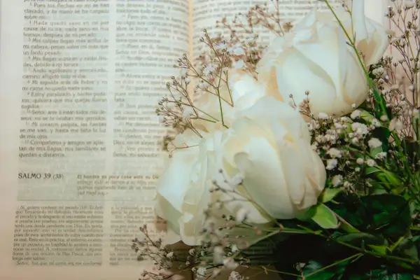 versículos bíblicos para recomeçar do zero